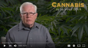 Cannabis Is In Your DNA YouTube