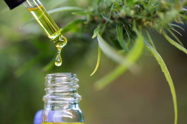 Hand holding a bottle of CBD hemp oil with dropper, a non-CB1 alternative during a cannabis tolerance break