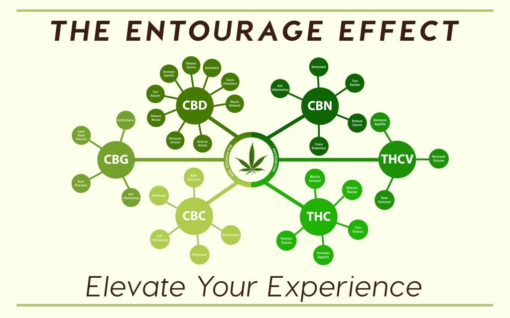 Close-up image of cannabis leaves and extracted CBD oil, representing the sources of the entourage effect