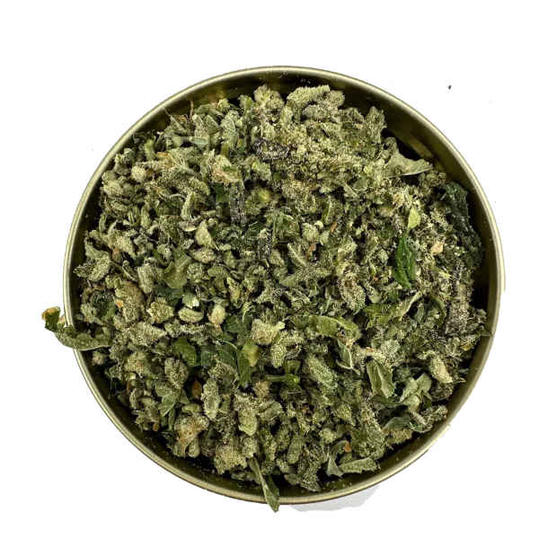 Top-down view of Banana Punch Shake cannabis blend packed into a tin