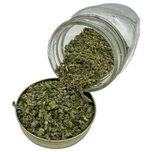 Banana Punch Shake cannabis blend spilling from a jar into a tin