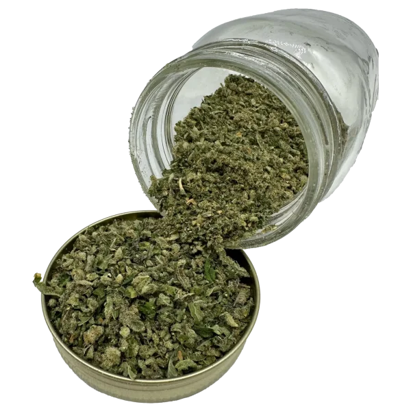 Banana Punch Shake cannabis blend spilling from a jar into a tin