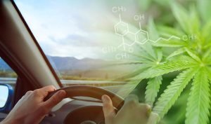 driving while on cbd?