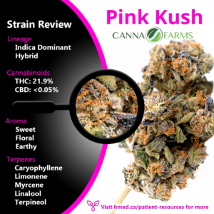 pink kush strain profile