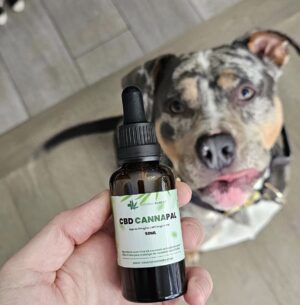 Best rated cbd oil for dogs in canada