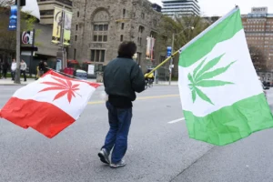 canadian cannabis culture