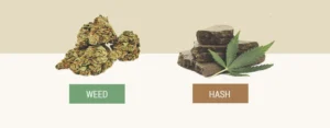 buy hash online in canada