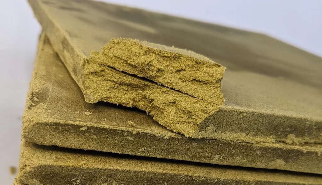 Where to Buy Gold Seal Hash in Canada
