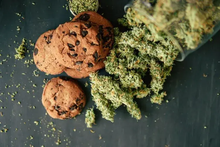 Chocolate-chip weed cookies beside spilled cannabis buds on a dark surface.
