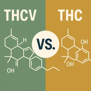Chemical structures of THCV and THC side by side comparing their molecular differences
