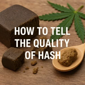 Blocks of premium hash with cannabis leaf and spoon on wooden surface.