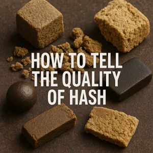 Different types of hash displayed on a dark background showing color and texture variations.