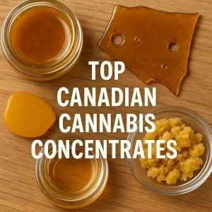 Top-down view of Canadian cannabis concentrates including shatter, resin, and wax displayed in glass jars.