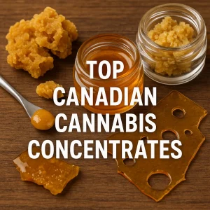 Various types of Canadian cannabis concentrates including shatter, honey oil, and crumble on a wooden table.