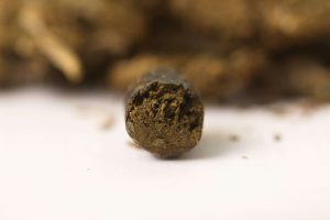 Close-up of dark, resin-rich hash showcasing its dense texture and deep color.
