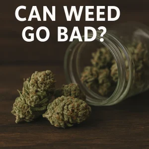 Cannabis buds spilling out of a glass jar onto a dark wooden surface.