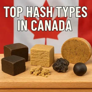 Assorted blocks and balls of hash displayed in front of a Canadian flag on a wooden board.