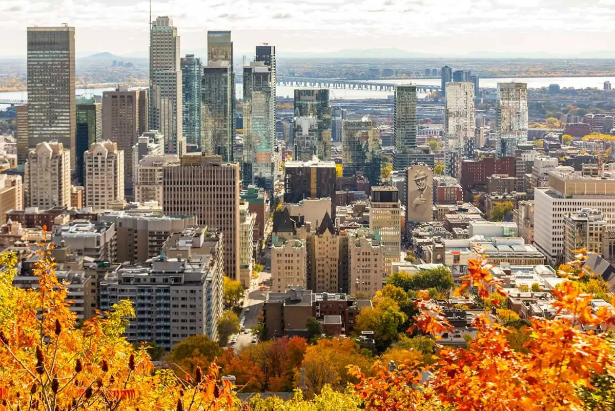 Weed Delivery in Montreal