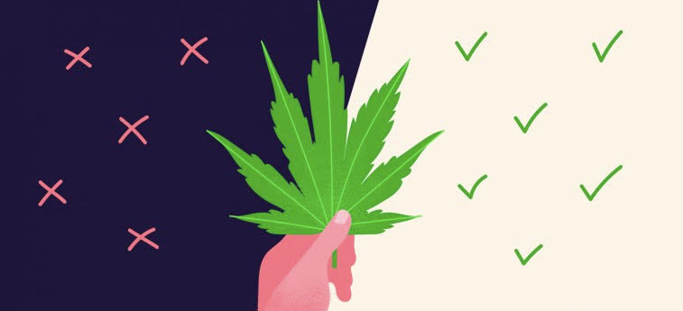 Hand holding a green cannabis leaf against a split background of dark blue with red X marks and light beige with green check marks, symbolizing the risks and benefits of cannabis for anxiety.