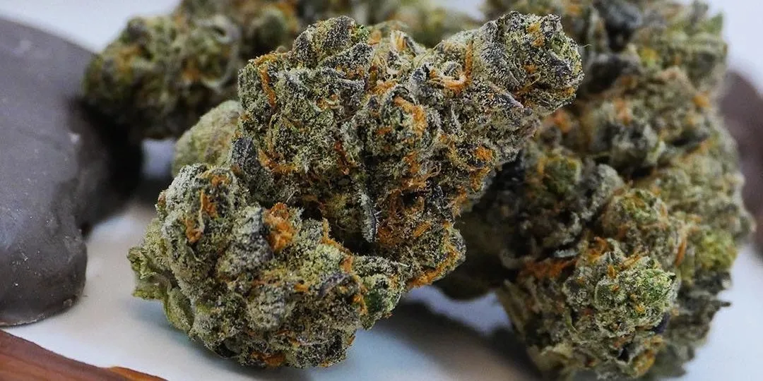 Premium Indica Strains Online