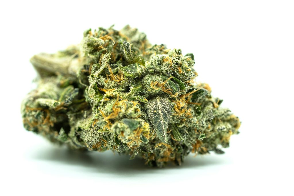 How to Store Cannabis Flower
