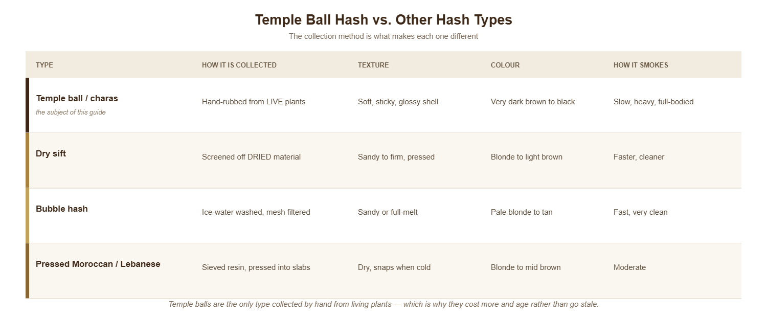 Comparison table of four hash types: temple ball or charas hand-rubbed from live plants, dry sift screened from dried material, ice-water washed bubble hash, and pressed Moroccan or Lebanese, compared by collection method, texture, colour and how each smokes.