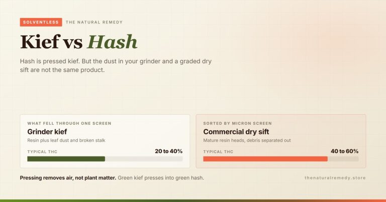 Kief vs Hash